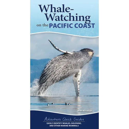 Whale-Watching on the Pacific Coast: Easily Identify Whales, Dolphins, and Other Marine Mammals