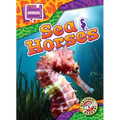 Sea Horses