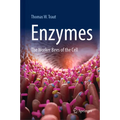 Enzymes: The Worker Bees of the Cell