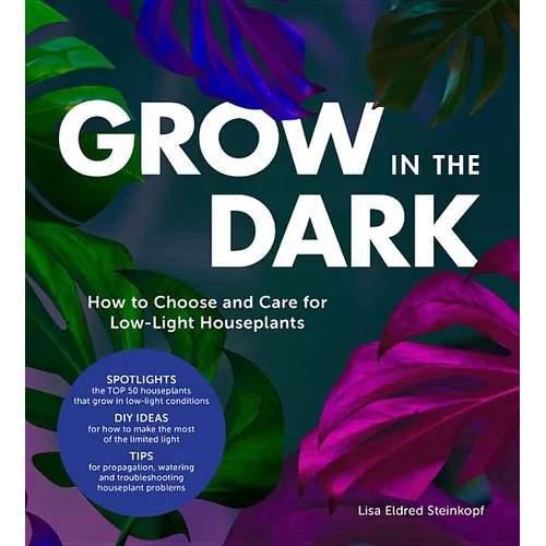 Grow in the Dark: How to Choose and Care for Low-Light Houseplants
