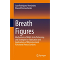 Breath Figures: Mechanisms of Multi-Scale Patterning and Strategies for Fabrication and Applications of Microstructured Functional Porous Surfaces
