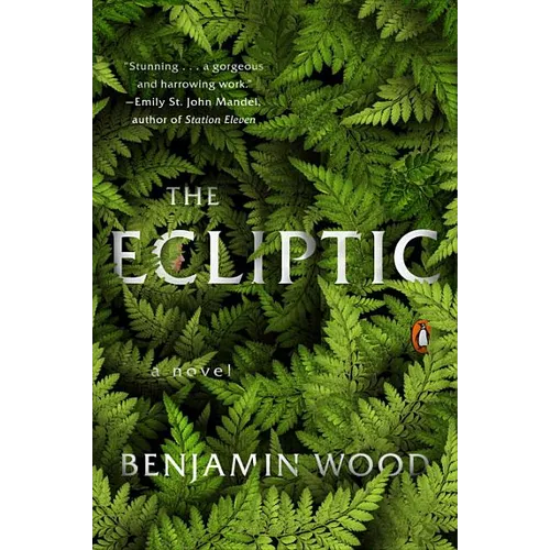 The Ecliptic