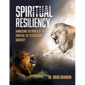 Spiritual Resiliency: Harnessing the Power of the Spiritual Life to Overcome Adversity