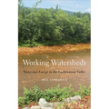 Working Watersheds: Water and Energy in the Lackawanna Valley