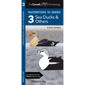 Cornell Lab of Ornithology Waterfowl Id Series: 3 Sea Ducks & Others: Cornell Lab of Ornithology Bird Id Series