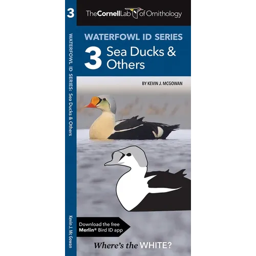 Cornell Lab of Ornithology Waterfowl Id Series: 3 Sea Ducks & Others: Cornell Lab of Ornithology Bird Id Series