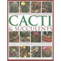 The Complete Illustrated Guide to Growing Cacti & Succulents: The Definitive Practical Reference on Identification, Care and Cultivation, with a Direc