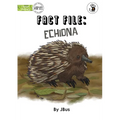 Fact File: Echidna - Our Yarning