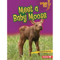 Meet a Baby Moose