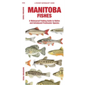Manitoba Fishes
