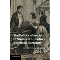 The Politics of Anxiety in Nineteenth-Century American Literature