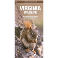 Virginia Wildlife