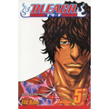 Bleach, Vol. 5