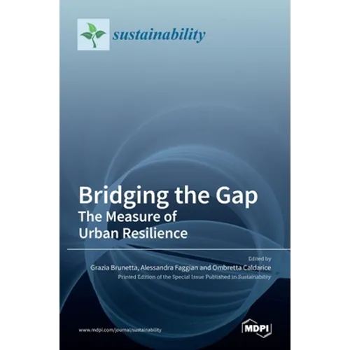 Bridging the Gap: The Measure of Urban Resilience