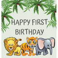 First birthday guest book (Hardcover): Birthday guest book, first birthday book, party and birthday celebrations decor, memory book, 1st birthday, hap
