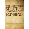 The Immaterial Structure of Human Experience
