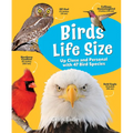Birds Life Size: Up Close and Personal with 47 Bird Species