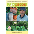 Ask Ciscoe: Oh, La, La! Your Gardening Questions Answered