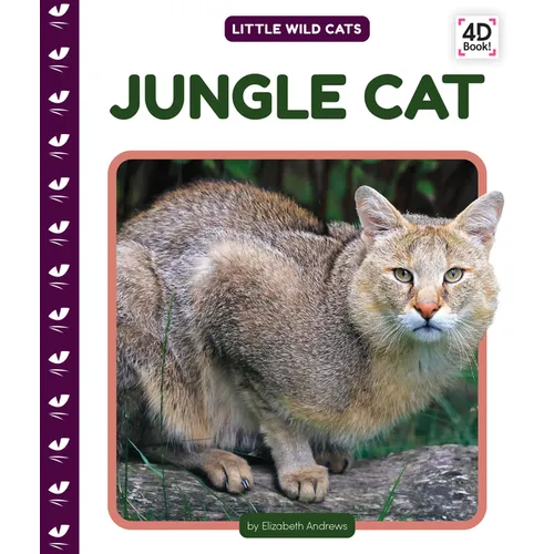 Jungle Cat