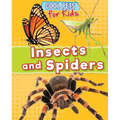 Insects and Spiders