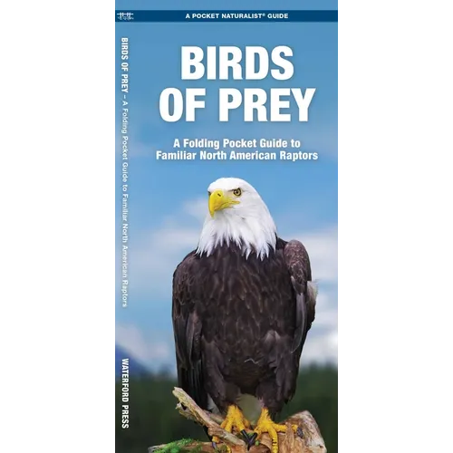 Birds of Prey: An Introduction to Familiar North American Species