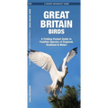 Great Britain Birds, 2nd Ed: A Folding Pocket Guide to Familiar Species of England, Scotland & Wales