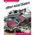 Indian Ocean Tsunami