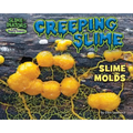 Creeping Slime: Slime Molds