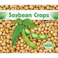 Soybean Crops