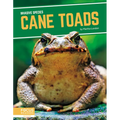 Cane Toads
