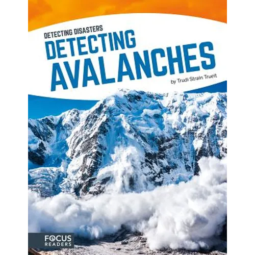 Detecting Avalanches