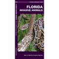 Florida Invasive Animals: How to Identify Invasive Species