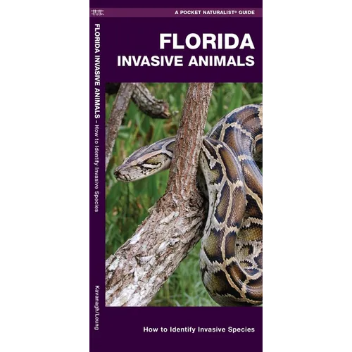 Florida Invasive Animals: How to Identify Invasive Species