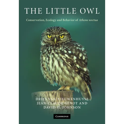 The Little Owl: Conservation, Ecology and Behavior of Athene Noctua