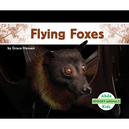 Flying Foxes