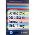 Asymptotic Statistics in Insurance Risk Theory