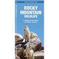 Rocky Mountain Wildlife: A Folding Pocket Guide to Familiar Animals