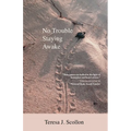 No Trouble Staying Awake