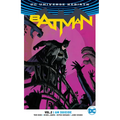 Batman Vol. 2: I Am Suicide (2024 Edition)