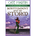 Bewitchment After the Storm: A Viking Witch Cozy Mystery