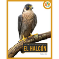 El Halcón