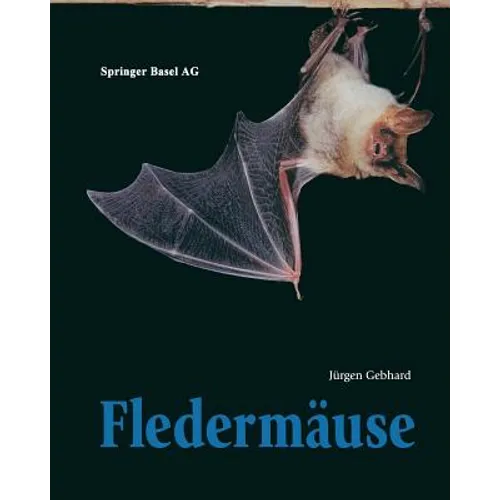 Fledermäuse