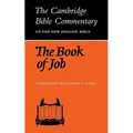 The Book of Job
