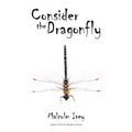 Consider the Dragonfly