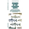 Fishes of the Canadian North: A Folding Guide to Native and Introduced Freshwater Species of the Northwest Territories, Nunavut and Yukon