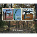 Finding Letter Trees
