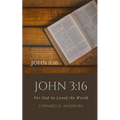 John 3: 16: For God So Loved the World
