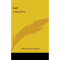 Lad: A Dog (1919)