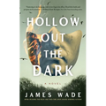 Hollow Out the Dark