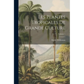 Les Plantes Tropicales De Grande Culture; Volume 1